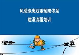 風(fēng)險(xiǎn)隱患雙重預(yù)防體系建設(shè)流程培訓(xùn)pptx