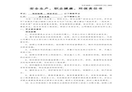 全總監(jiān)責(zé)任書（樣本）docx