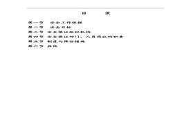 項(xiàng)目投產(chǎn)安全保證體系doc