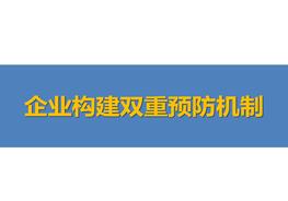 企業(yè)構(gòu)建安全風(fēng)險(xiǎn)分級(jí)管控和隱患排查治理雙重預(yù)防機(jī)制pptx