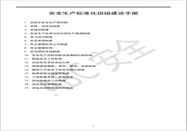 安全生產(chǎn)標(biāo)準(zhǔn)化班組建設(shè)手冊 docx