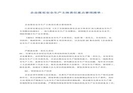 全生產(chǎn)主體責(zé)任重點事項清單docx