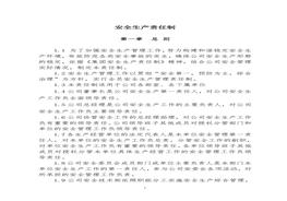 全生產(chǎn)責(zé)任制（13頁）doc