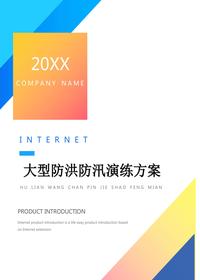 大型防洪防汛應(yīng)急演練方案（21頁）docx
