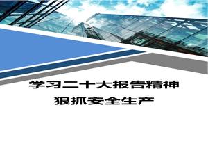 安全生產(chǎn)學(xué)習(xí)二十大報(bào)告精神心得體會(huì)docx