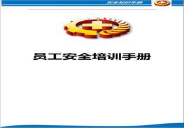 班組安全培訓(xùn)手冊(cè)docx