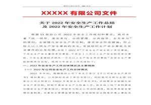 2022安全工作總結和來年安全計劃（7頁）docx
