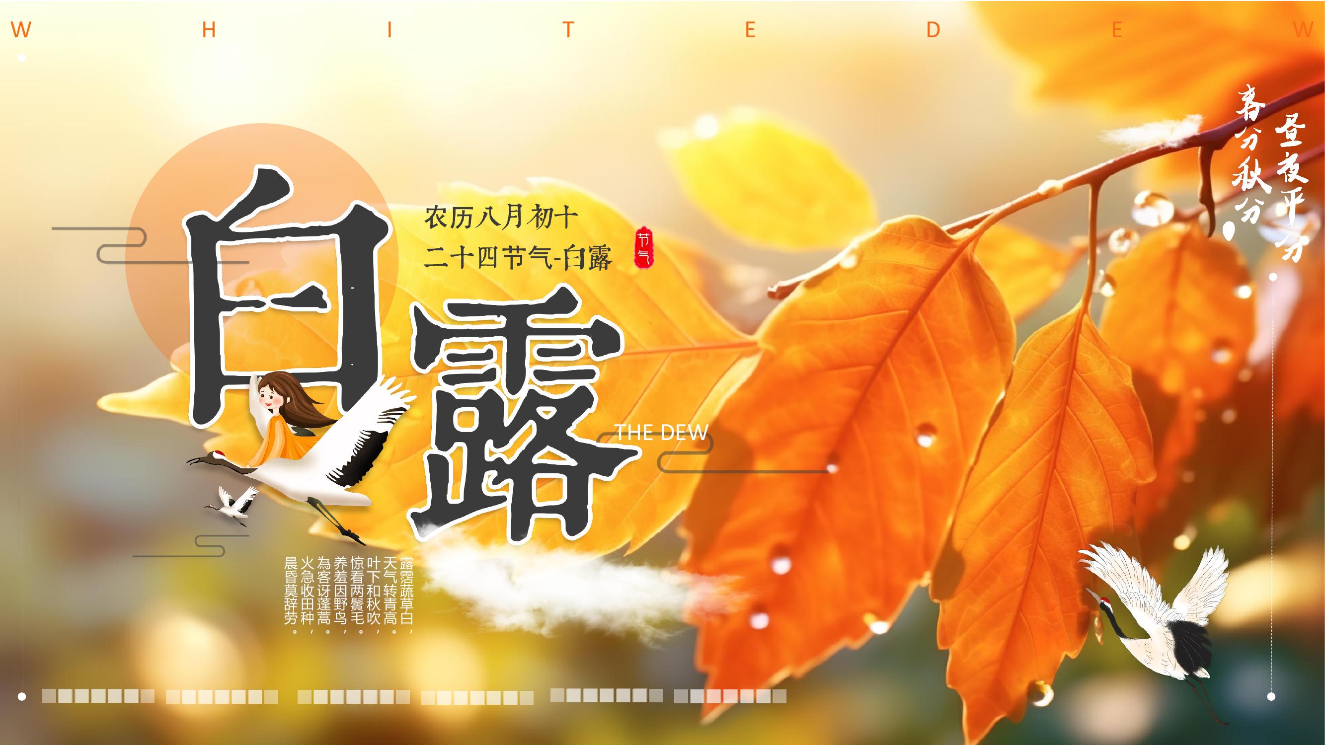 白露節(jié)氣pptx