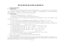 職業(yè)病危害風(fēng)險(xiǎn)分級報(bào)告doc