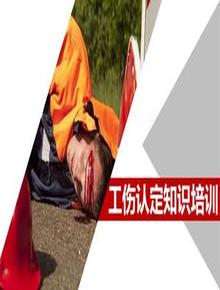 工傷認(rèn)定知識培訓(xùn)（48頁）pptx