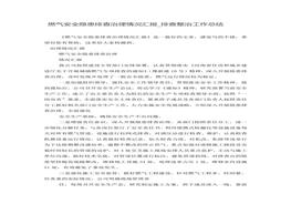 燃?xì)獍踩[患排查治理情況總結(jié)匯報(bào)doc