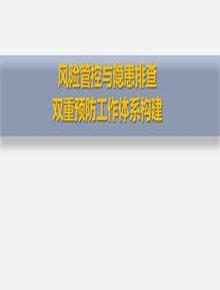 風(fēng)險(xiǎn)管控與隱患排查雙重預(yù)防工作體系構(gòu)建（50頁(yè)）pptx