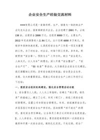 一把手談安全：公司安全生產(chǎn)先進經(jīng)驗交流發(fā)言稿材料docx