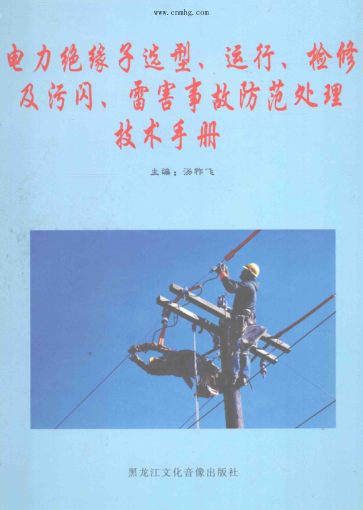 電力絕緣子選型、運(yùn)行、檢修及污閃、雷害事故防范處理技術(shù)手冊(cè) 第2卷